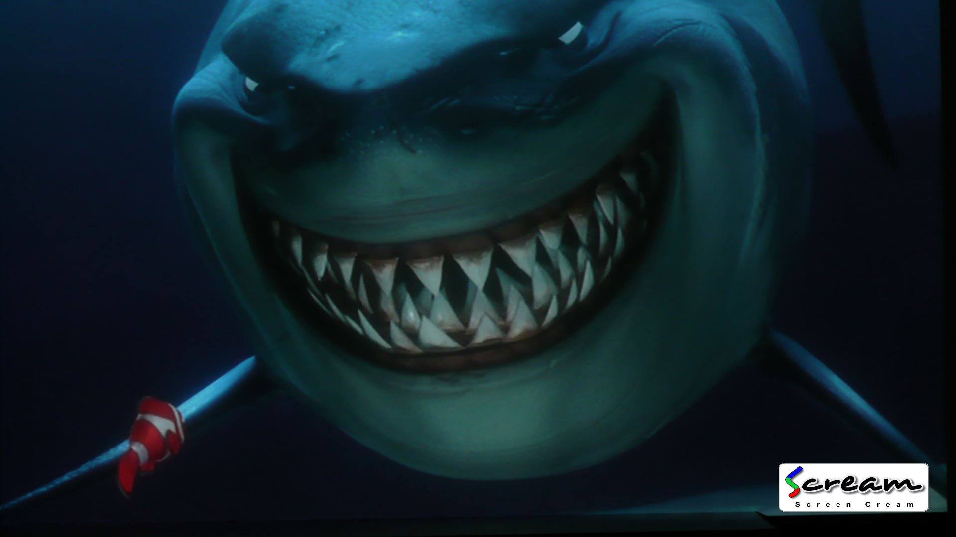finding Nemo projected on screen paint